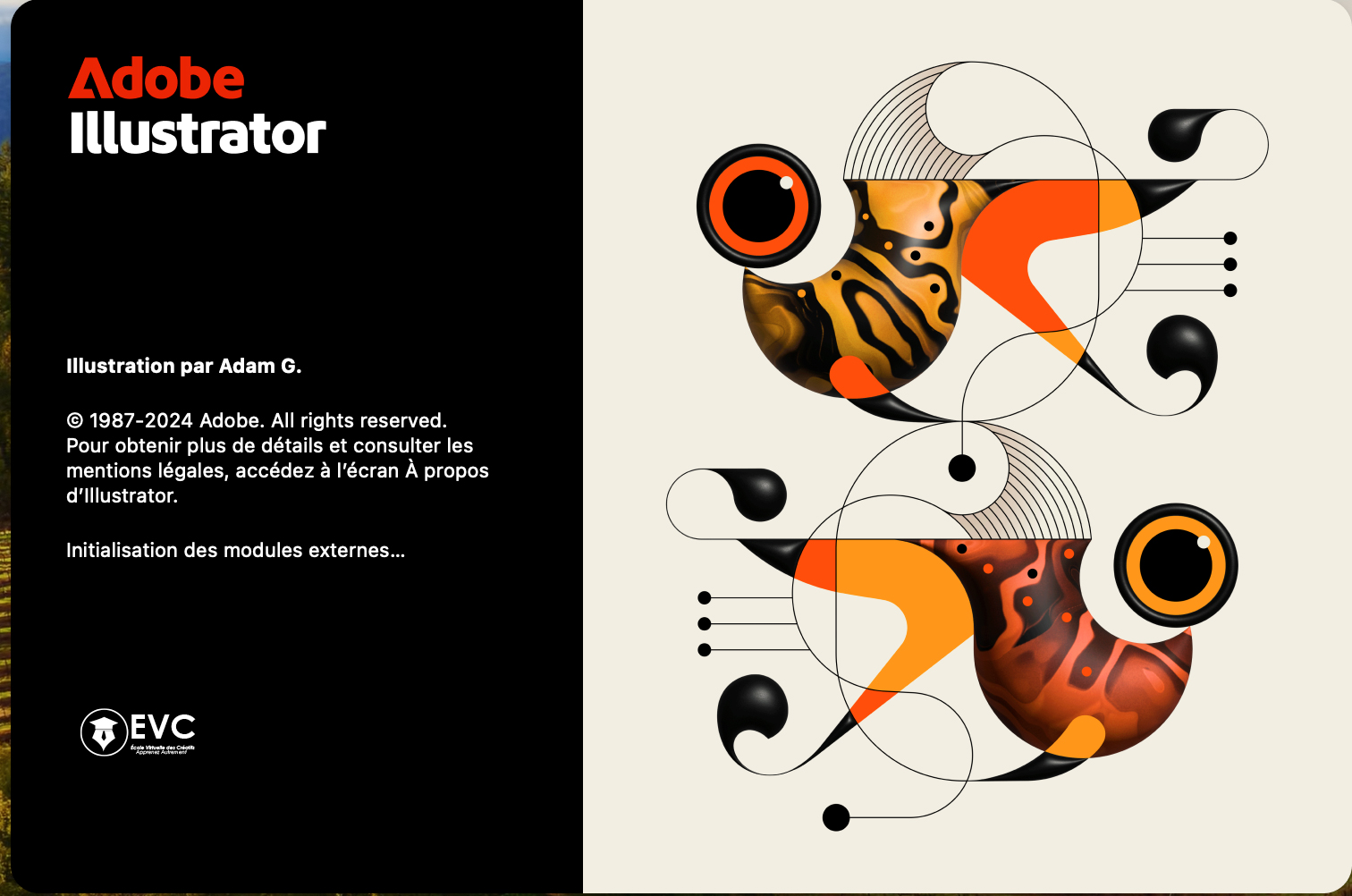 Adobe Illustrator 2025 : Les Nouvelles Fonctionnalités qui Redéfinissent la Création Graphique