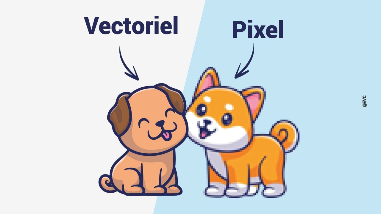 Comment savoir si votre image est en pixels ou vectorielle ?